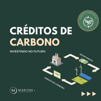 CRÉDITOS DE CARBONO: UM MERCADO PROMISSOR