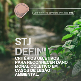 STJ define critérios objetivos para reconhecer dano moral coletivo em casos de lesão ambiental