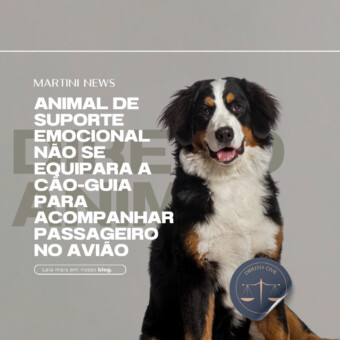 Animal de suporte emocional não se equipara a cão-guia para acompanhar passageiro no avião
