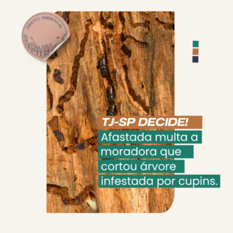 TJ-SP decide: Afastada multa a moradora que cortou árvore infestada por cupins